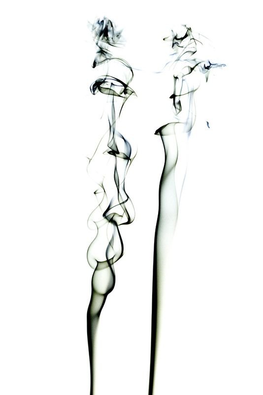 Photograph 8